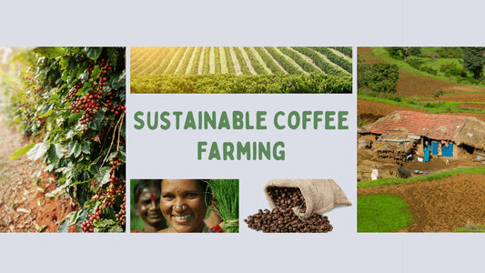 Sustainable Coffee Farming: Why It Matters